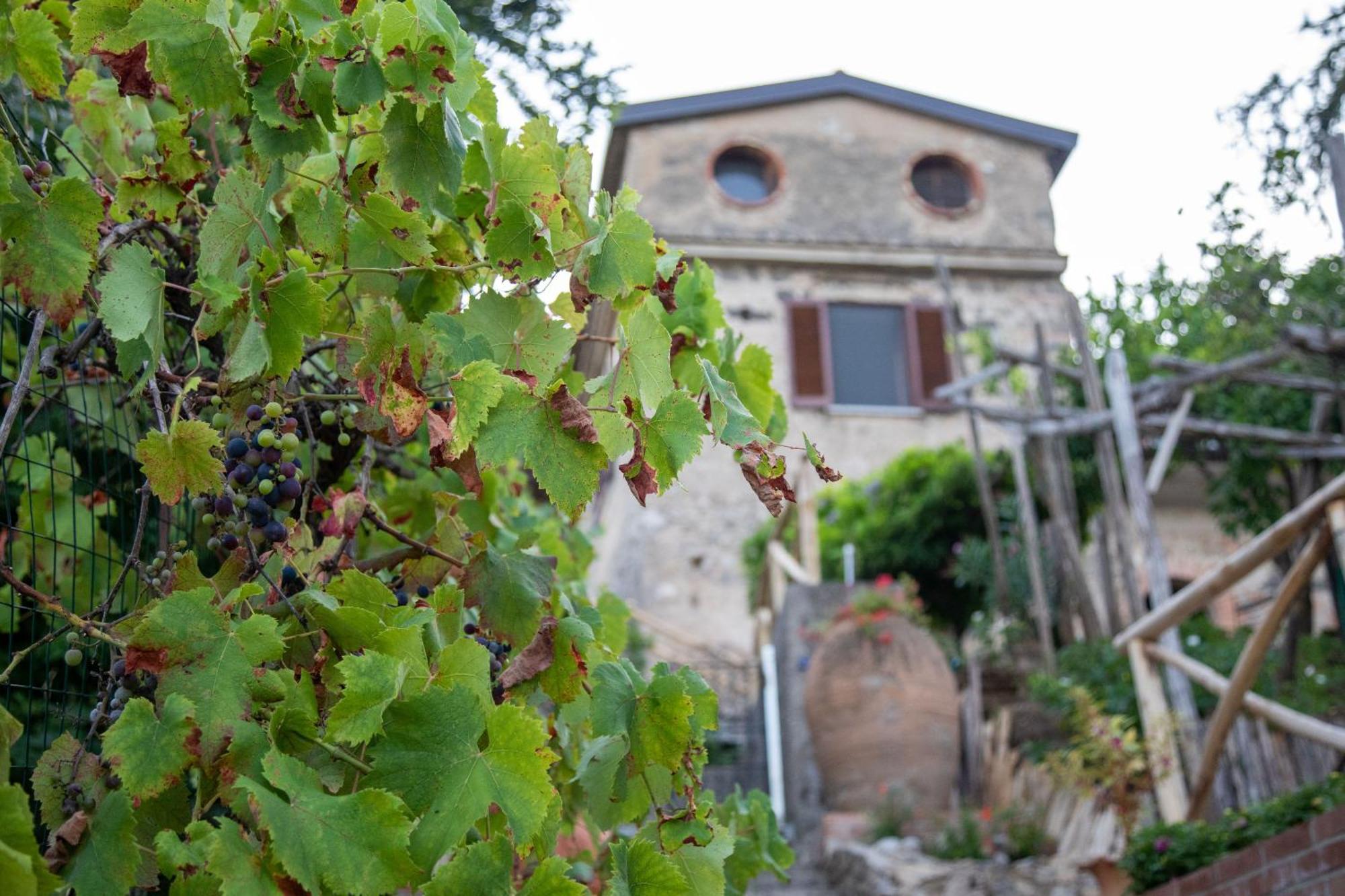 Il Melograno In Costa D'Amalfi - Romantic Experience Vietri Eksteriør billede